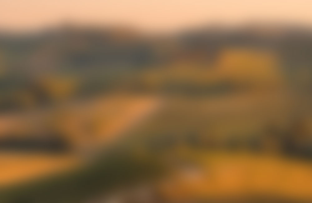 Video thumb
